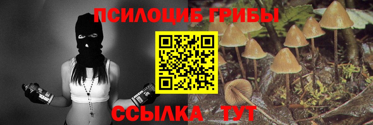 наркошоп  Галлюциногенные грибы Magic Shrooms  Вход с VPN  Галлюциногенные грибы GOLDEN TEACHER  Армавир 
